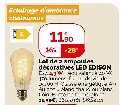 lot de 2 ampoules décoratives led édison