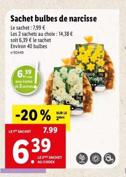 Sachet Bulbes De Narcisse