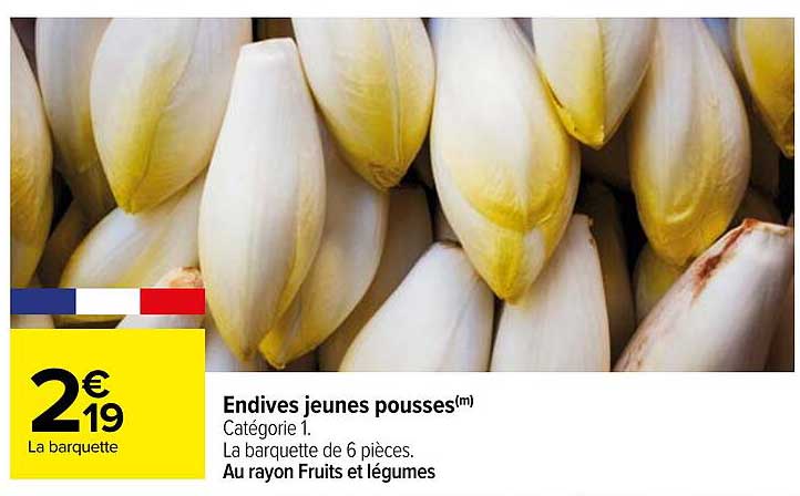 endives jeunes pousses