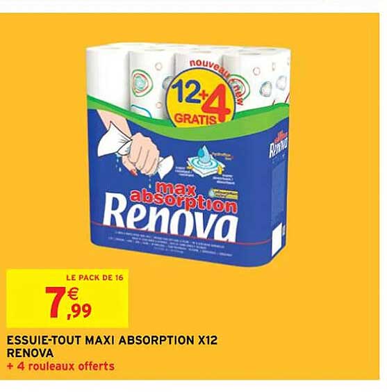 essuie-tout maxi absorption x12 renova