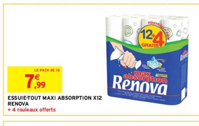 essuie-tout maxi absorption x12 renova