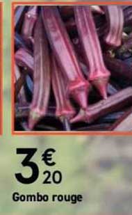 Gombo Rouge