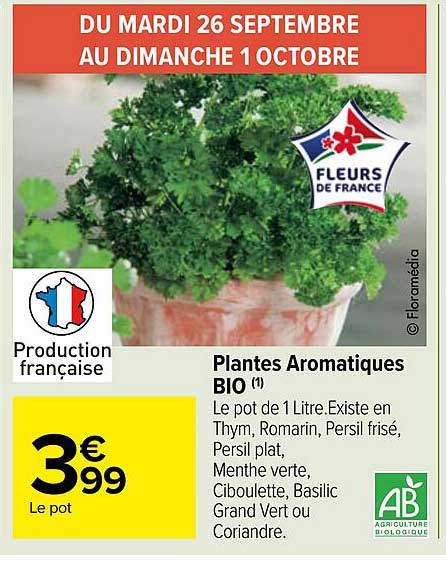 Plantes Aromatiques Bio