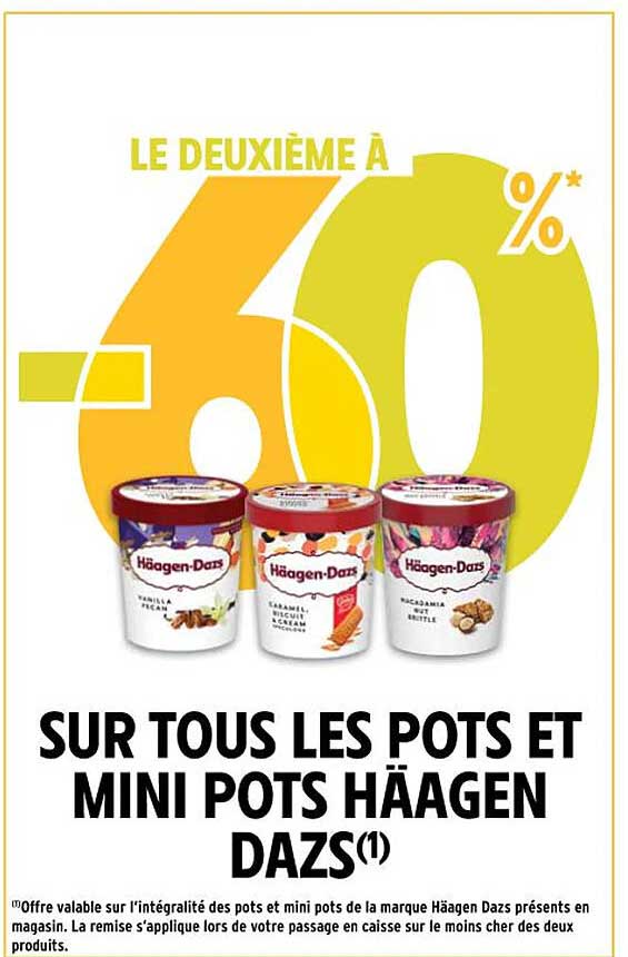 pots et mini pots häagen dazs