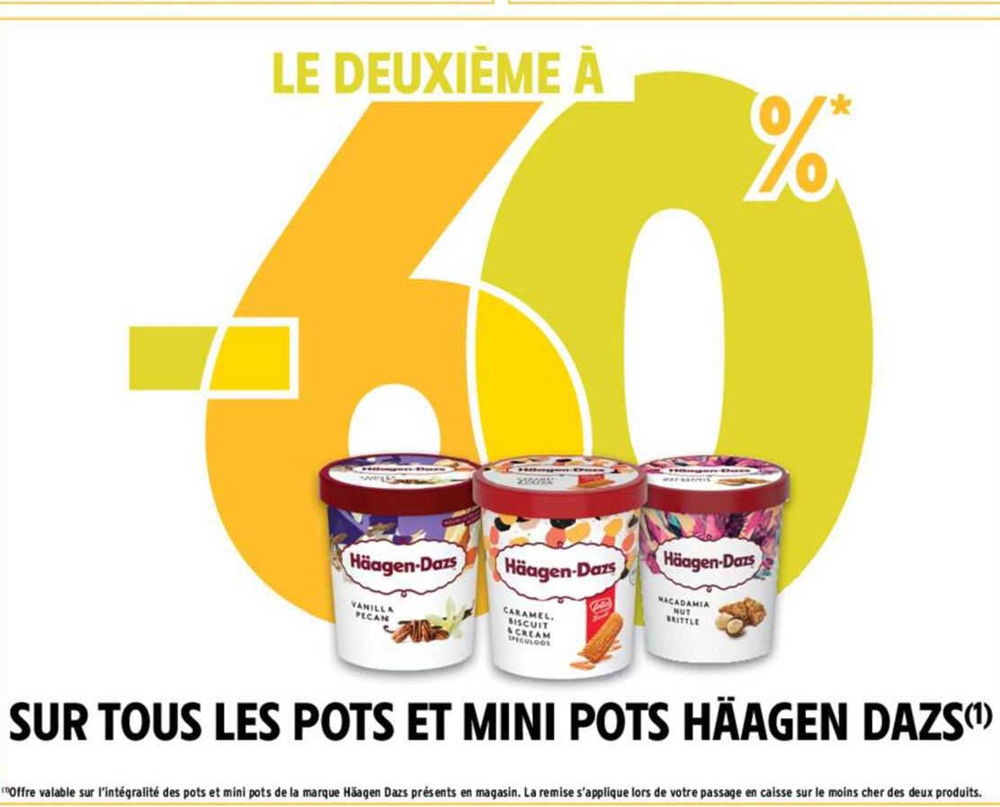 pots et mini pots häagen dazs