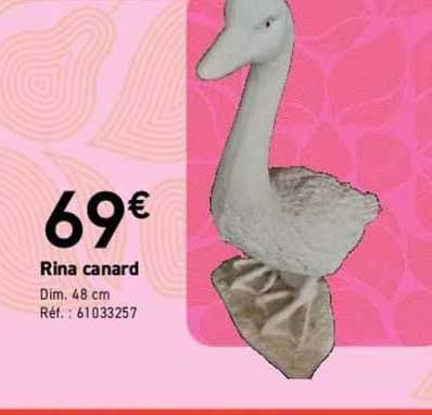 Rina Canard