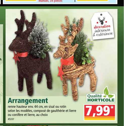 Arrangement Qualité Horticole