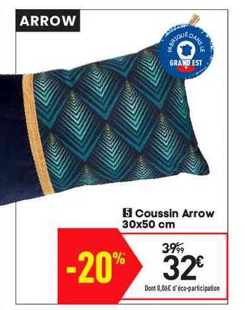 coussin arrow 30x50 cm