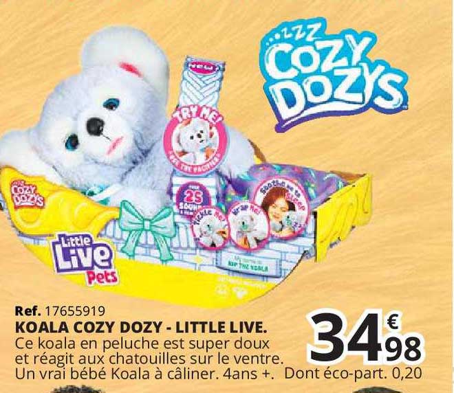 koala cozy dozy little live