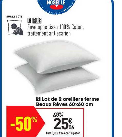 lot de 2 oreillers ferme beaux rêves 60x60 cm