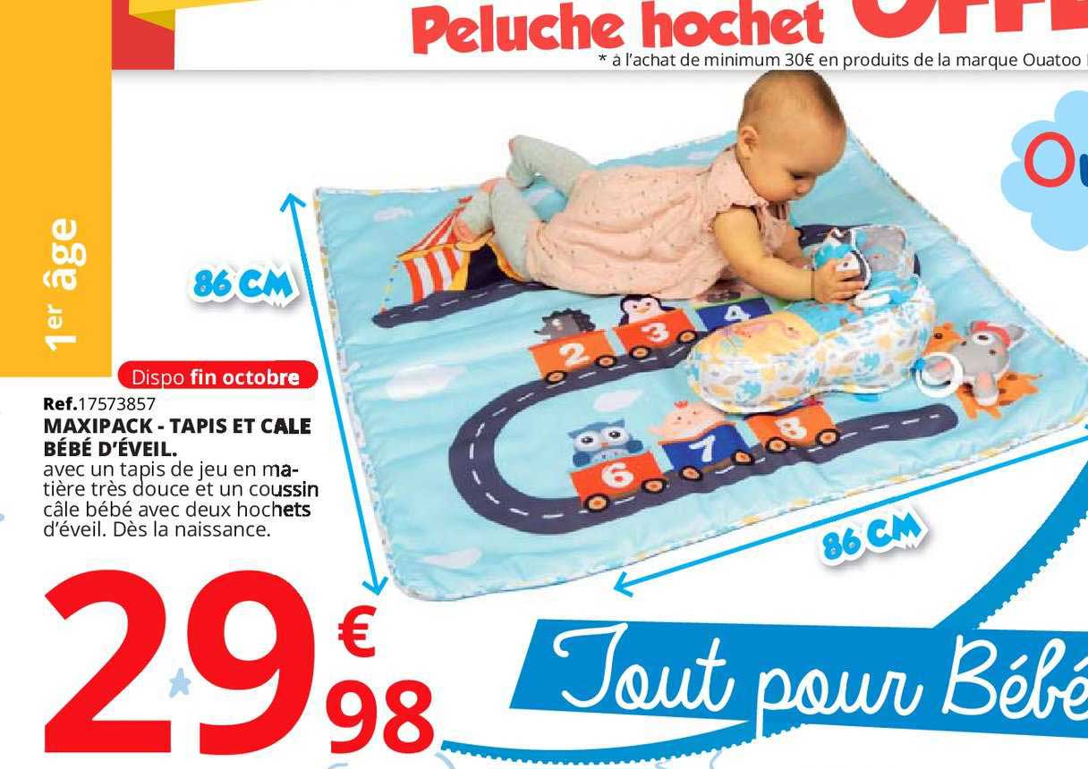 maxipack tapis et cale bébé d'éveil