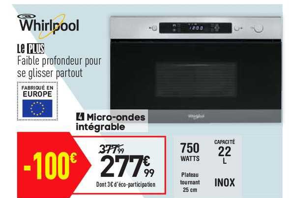 micro-ondes intégrale