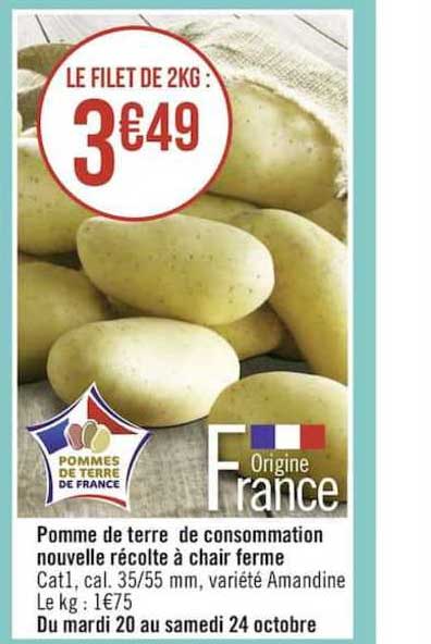 pomme de terre de consommation nouvelle récolte à chair ferme