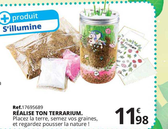 réalise ton terrarium