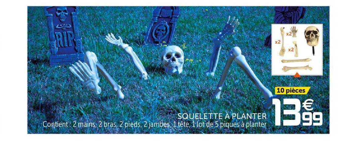 squelette à planter