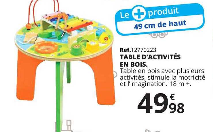 Table D'activités En Bois