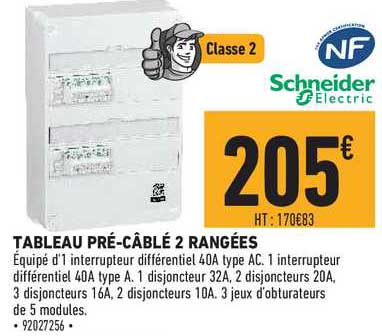 tableau pré câblé 2 rangées schneider electric