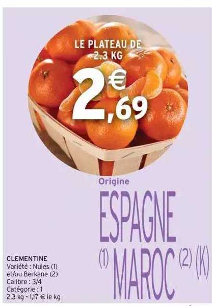 clémentine nules et-ou berkane