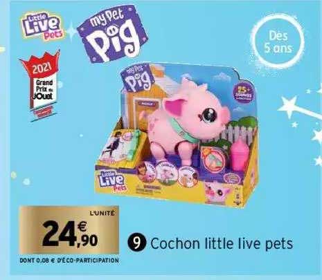 cochon little live pets