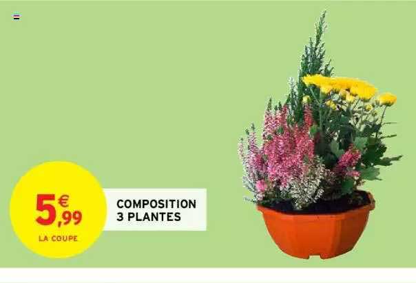 Composition 3 Plantes