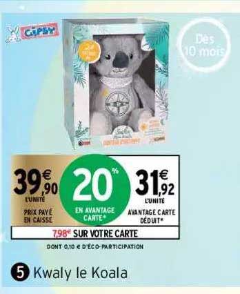 kwaly le koala gipsy