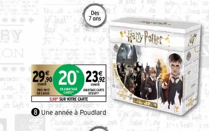 une année à poudlard harry potter