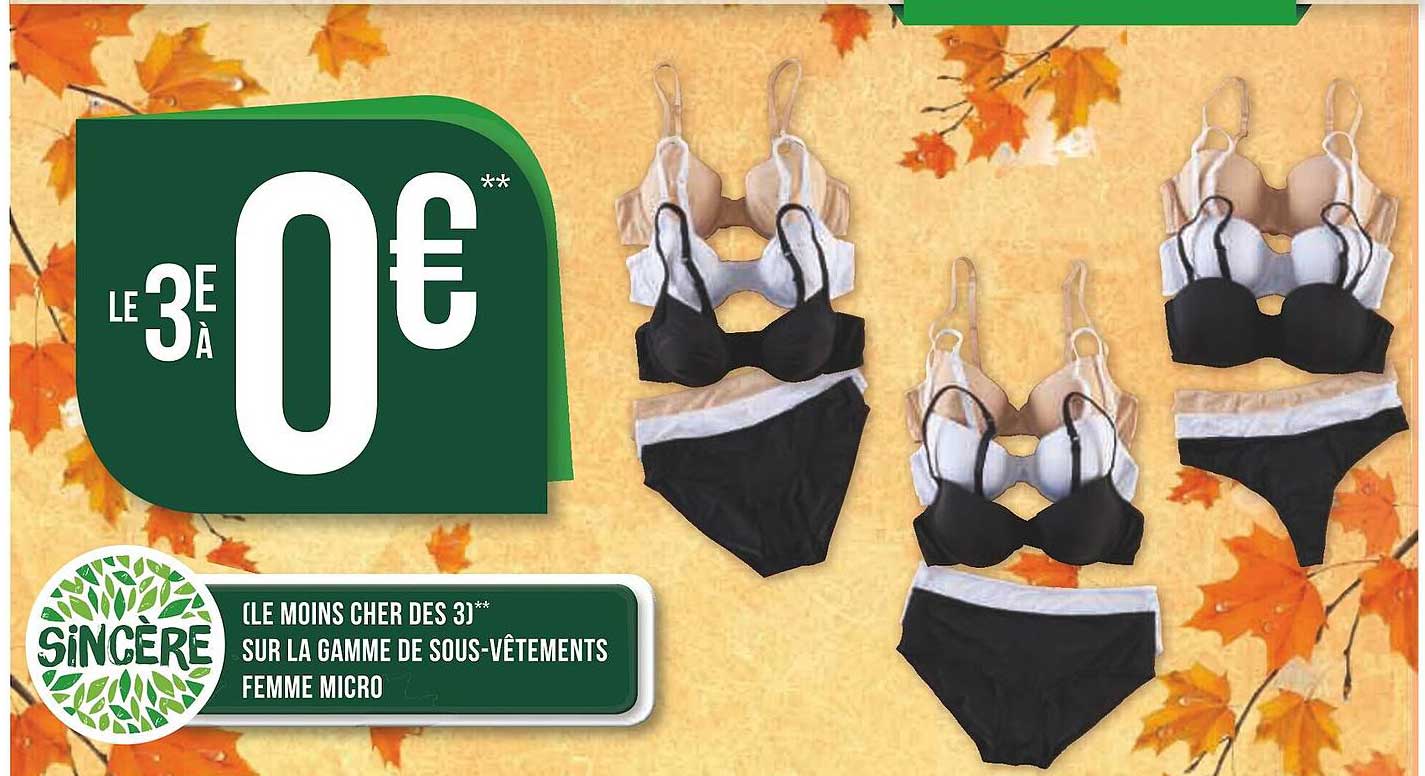 la gamme de sous-vêtements femme micro sincère