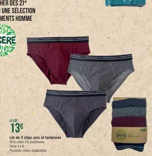 Lot De 3 Slips Unis Et Fantaisies Sincère