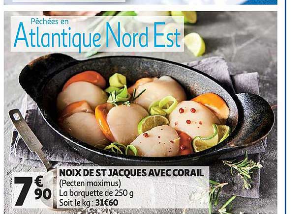 noix de st jacques avec corail