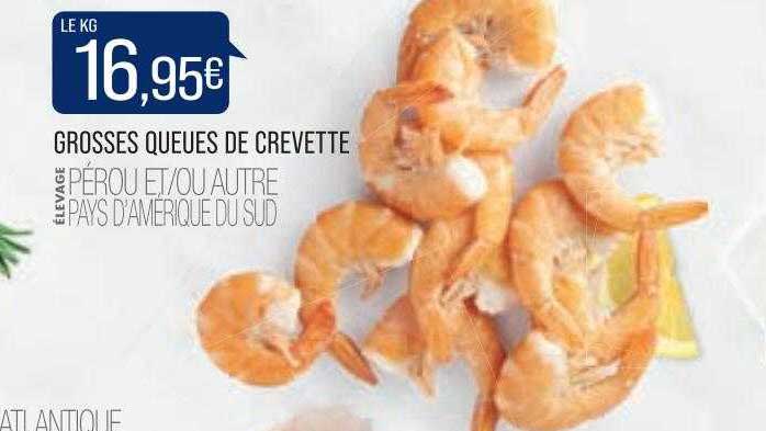 Grosse Queues De Crevette