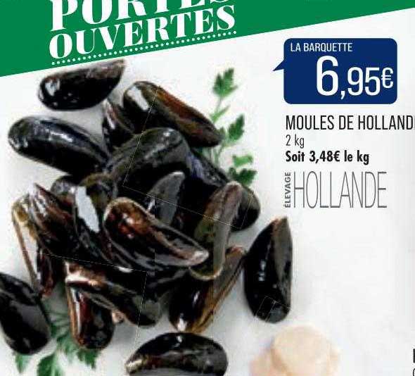 moules de holland