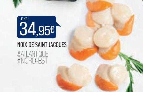 noix de saint-jacques