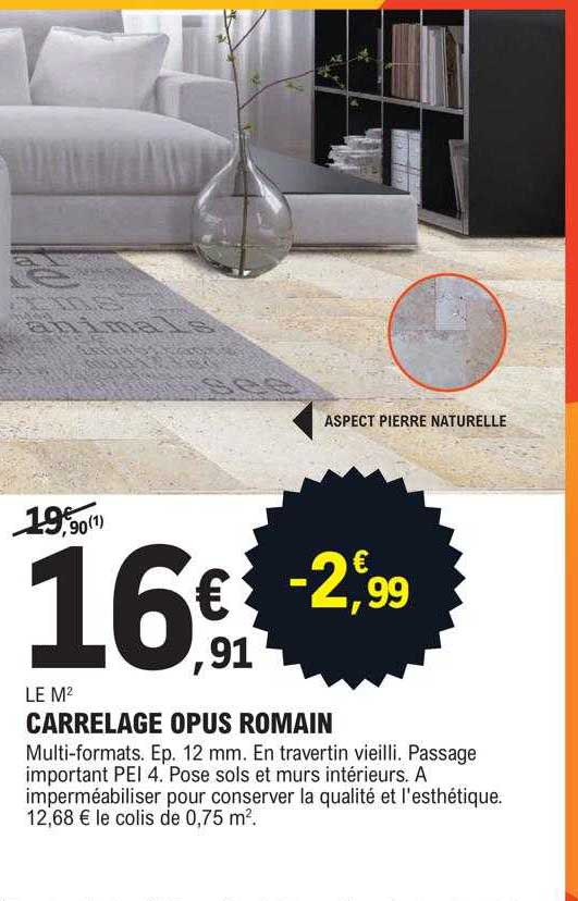 carrelage opus romain