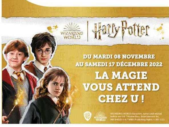 wizarding world harry potter