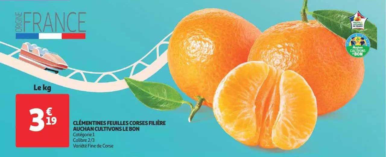 clémentines feuilles corses filière auchan cultivons le bon