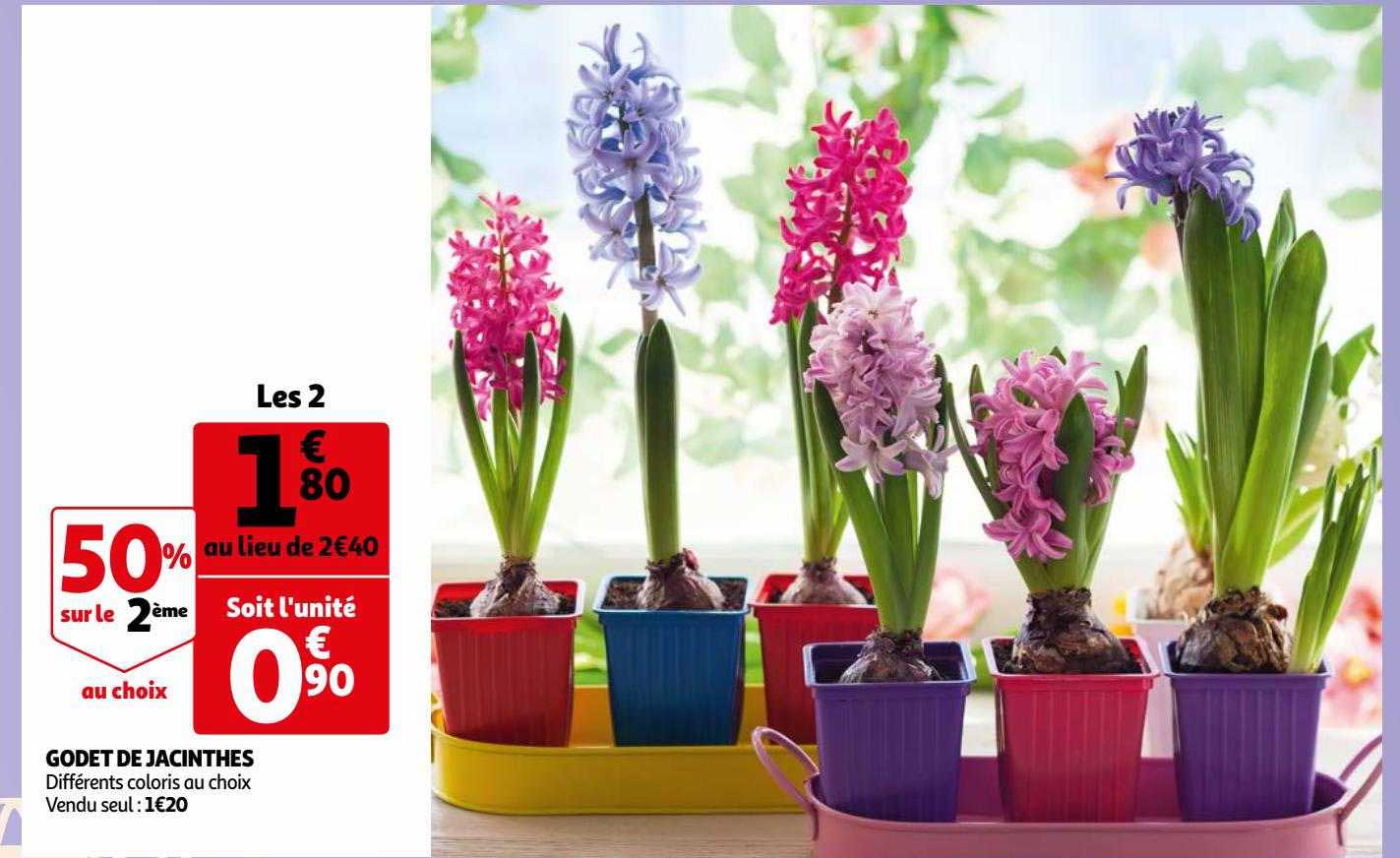 godet de jacinthes