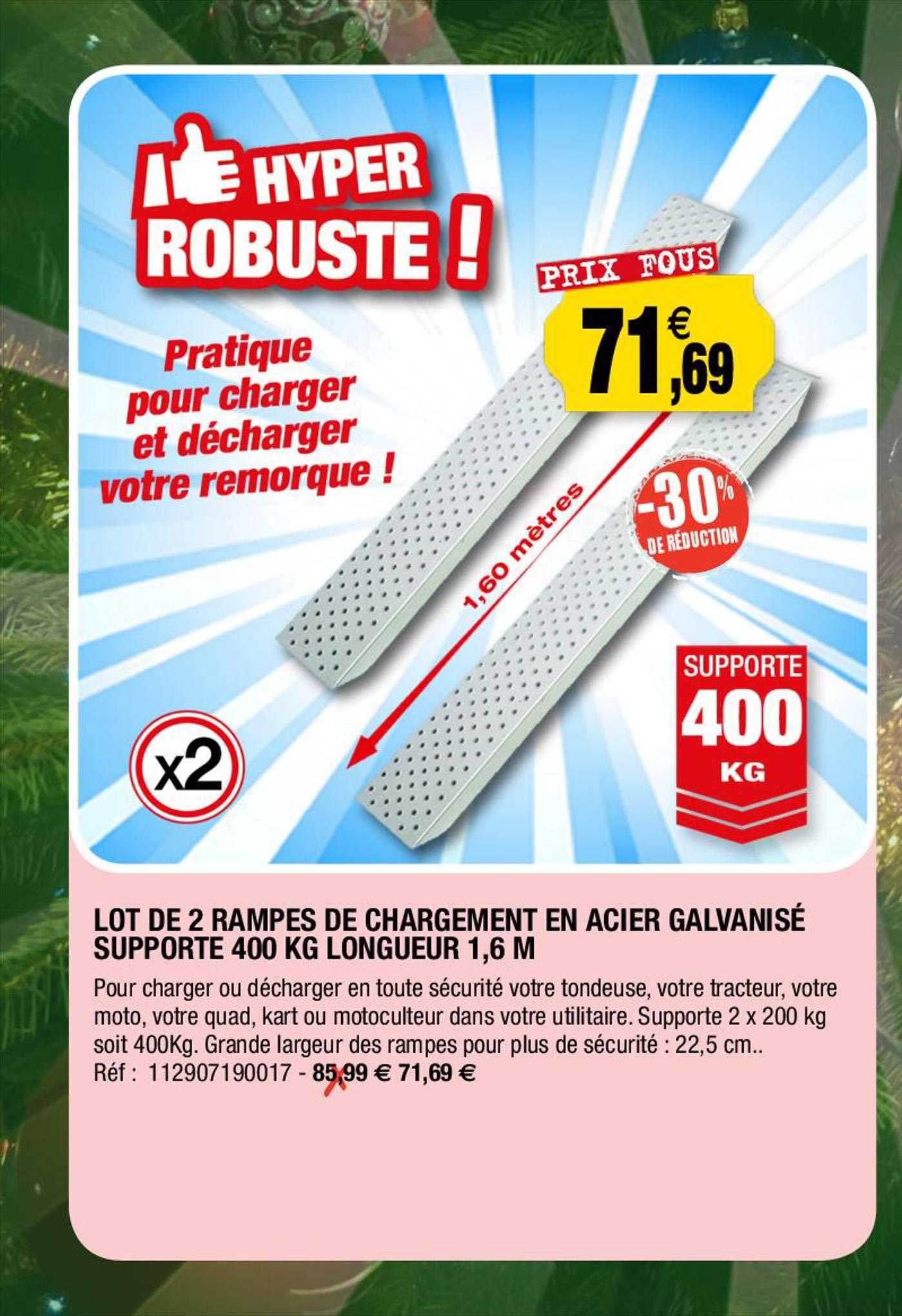 lot de 2 rampes de chargement en acier galvanisé supporte 400 kg longueur 1,6 m