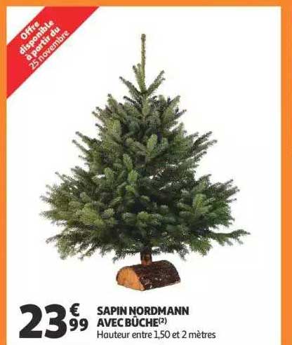 sapin nordmann avec bûche