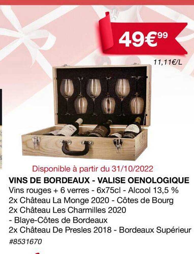 Vins De Bordeaux - Valise œnologique