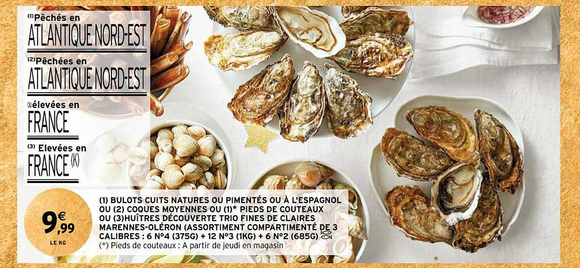 (1) bulots cuits natures ou pimentés ou à l'espagnol ou (2) coques moyennes ou (1) pieds de couteaux ou (3) huîtres découvertes trio fines de claires marennes-oléron