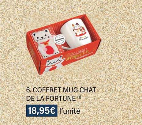 coffret mug chat de la fortune