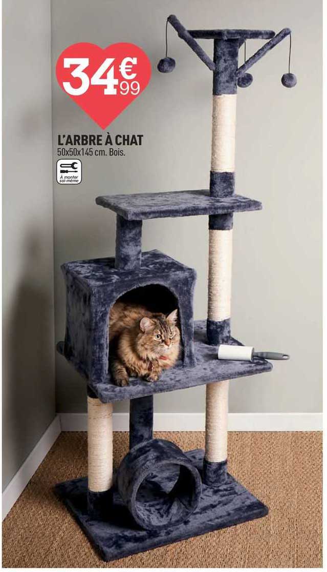 l'arbre à chat
