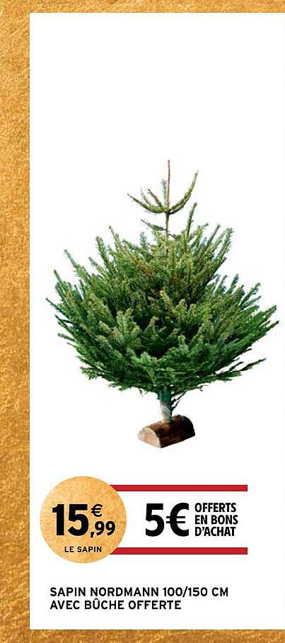sapin nordmann 100/150 cm avec bûche offerte