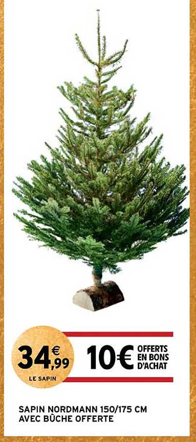 sapin nordmann 150-175 cm avec bûche offerte