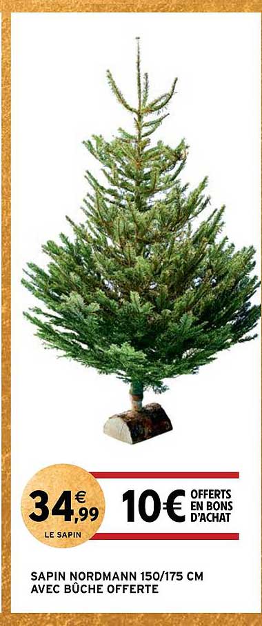 sapin nordmann 150/175 cm avec bûche offerte