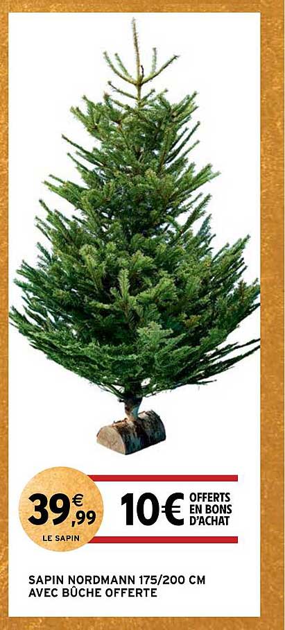 sapin nordmann 175/200 cm avec bûche offerte