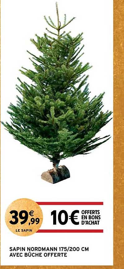 sapin nordmann 175-200 cm avec bûche offerte