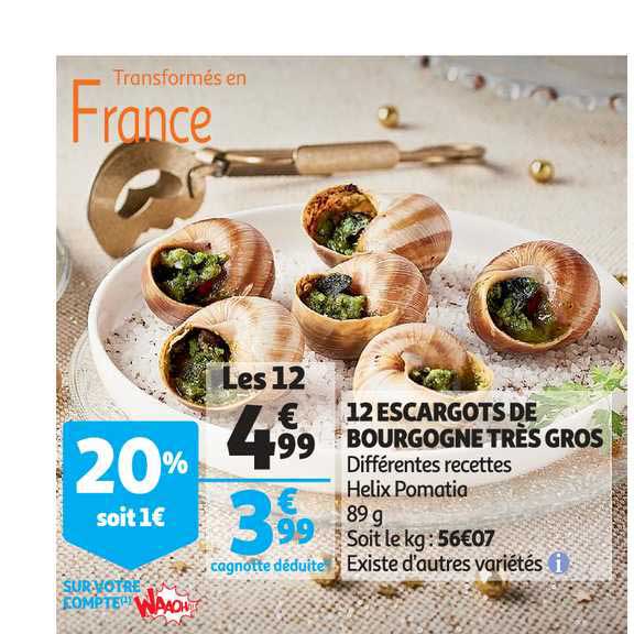 12 escargots de bourgogne très gros