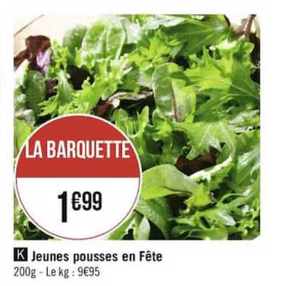 jeunes pousses en fêtes