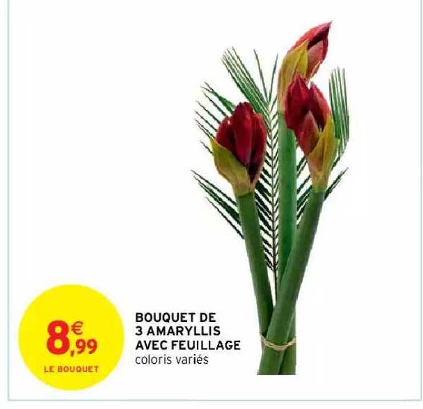 bouquet de 3 amaryllis avec feuillage